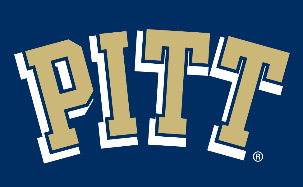 Pittsburgh Panthers 1997-2015 Wordmark Logo iron on transfers for T-shirts